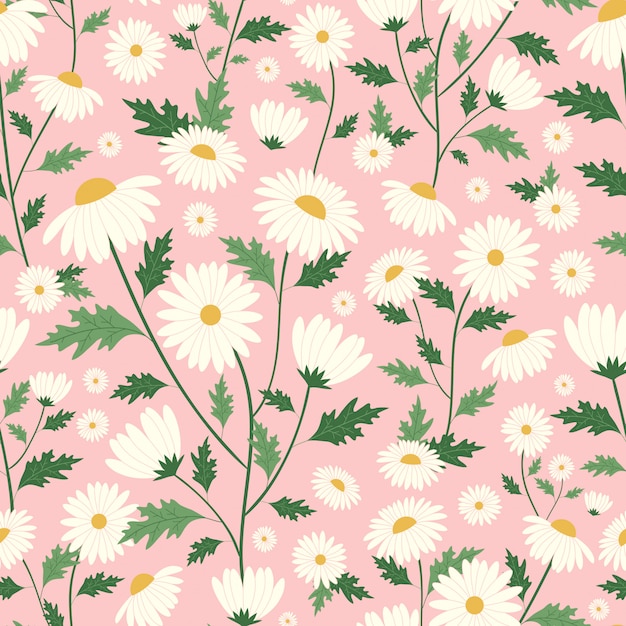 Vector daisy bloemen naadloos patroon