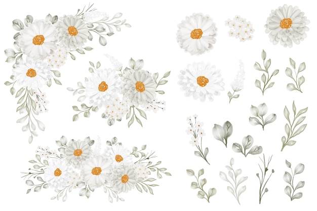 Daisy bloemstuk en bloem bladeren geïsoleerde illustraties