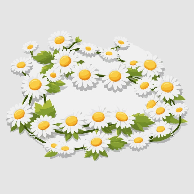 Vettore daisy chains su sfondo bianco