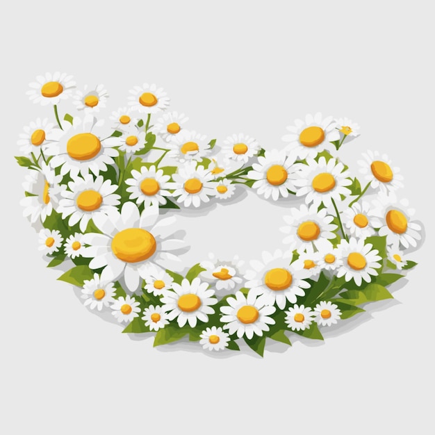 Vettore daisy chains su sfondo bianco