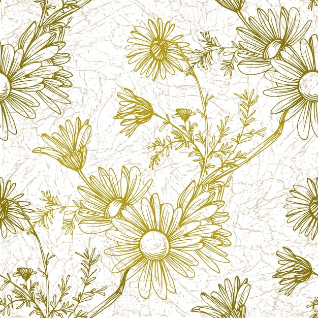Daisy Chamomile seamless pattern
