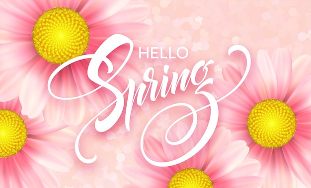 Daisy flower background and hello spring lettering.  illustration