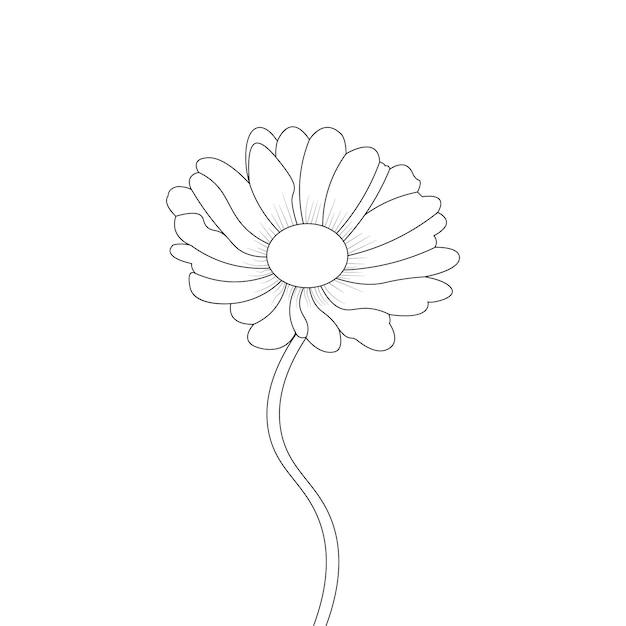 Vector daisy flower coloring page line art sketch drawing with decorative vector art illustration