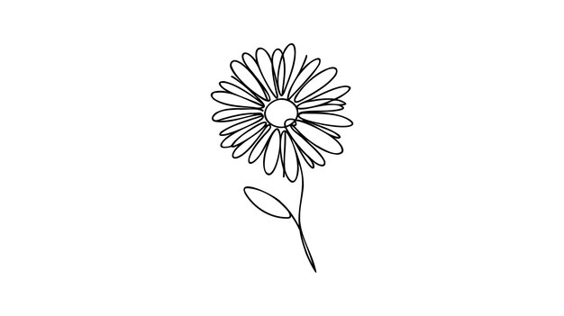 Daisy flower in continuous line art drawing style Chamomile One line drawing art Minimalist black linear sketch