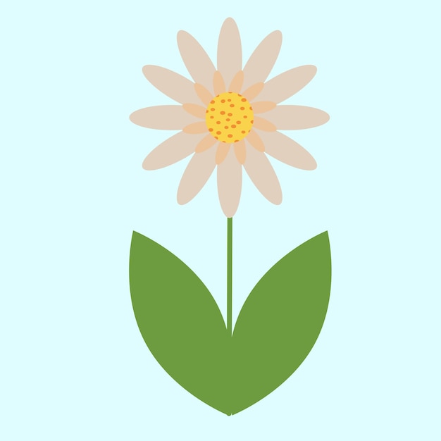 ベクトル フラット スタイルのデイジーの花。植物の春のベクトル図