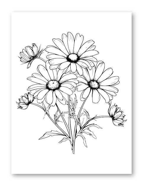 Daisy flower line art drawing illustration for coloring page