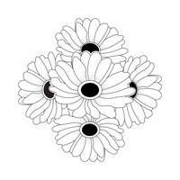 Daisy flower outline isoland hand drawn pencil line art vector illustration