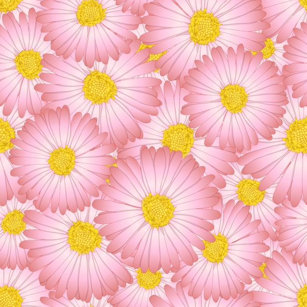 Vector daisy flower seamless background