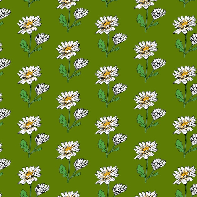 Daisy flower seamless pattern simple background