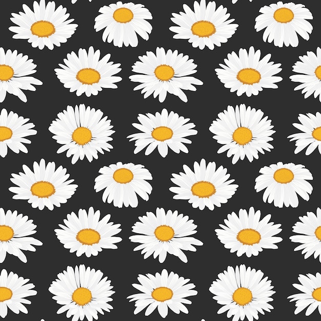 Daisy flower seamless pattern