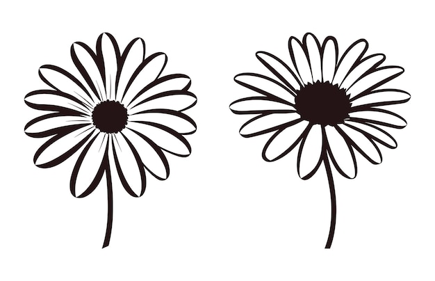 Daisy flower silhouette vector set daisy flowers clipart bundle