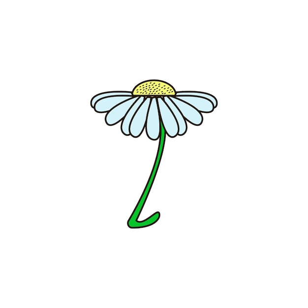 daisy flower vector type icon