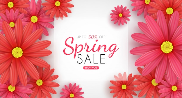 Вектор Цветение маргаритки цветет в сезонной весне и продвижение скидки покупок для продажи и предпосылка.