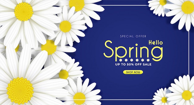 Vector daisy flowers bloom in the seasonal spring.and for sale shopping discount promotion.and background.