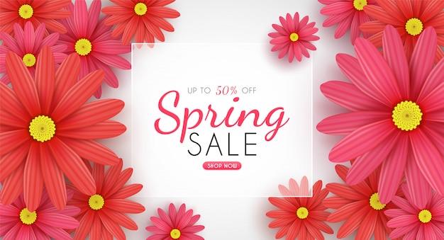 Vector daisy flowers bloom in the seasonal spring.and for sale shopping discount promotion.and background.