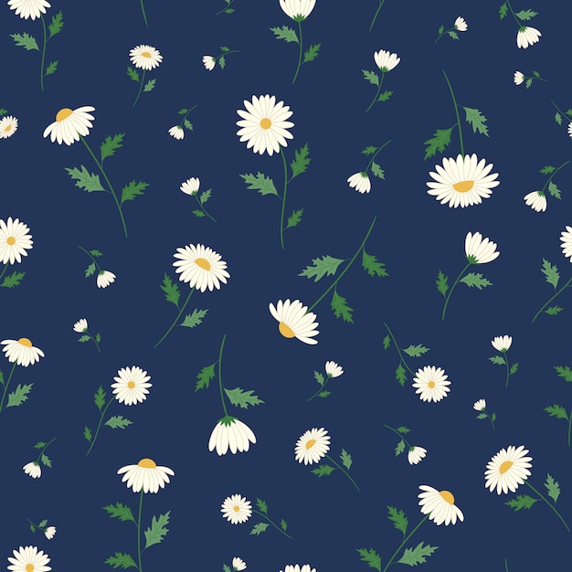 Daisy flowers seamless pattern