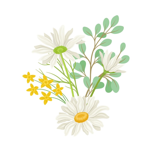 Vettore daisy flowers vector composition field camomile blossom concept collezione di fiori selvatici