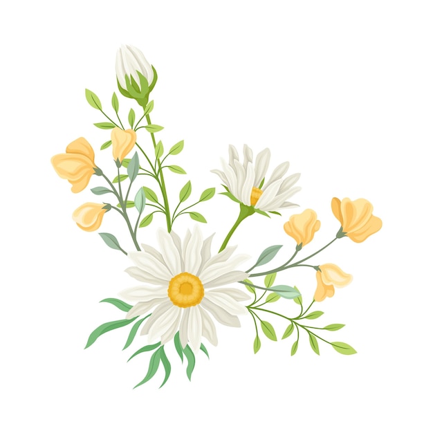 Vettore daisy flowers vector composition field camomile blossom concept collezione di fiori selvatici