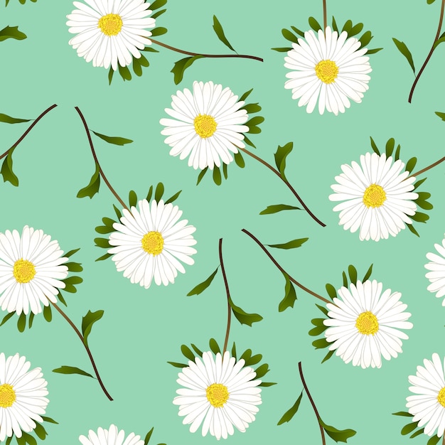 Vector daisy on green background