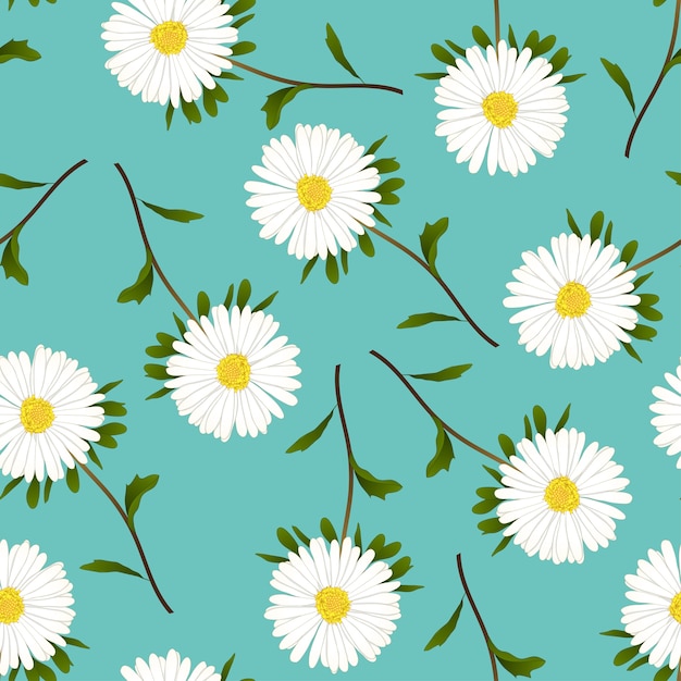  Daisy on Green Teal Background