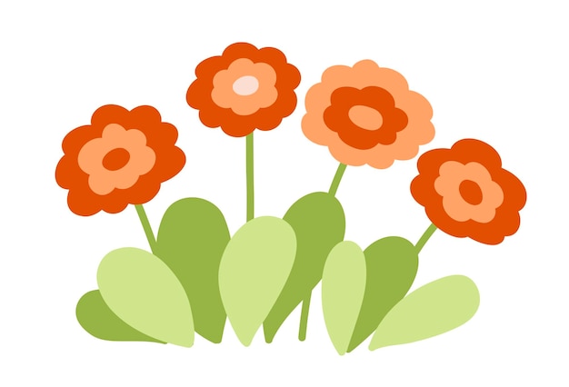 Daisy kamille bloem met bladeren leuke plant voor tuin flat design vector illustratie