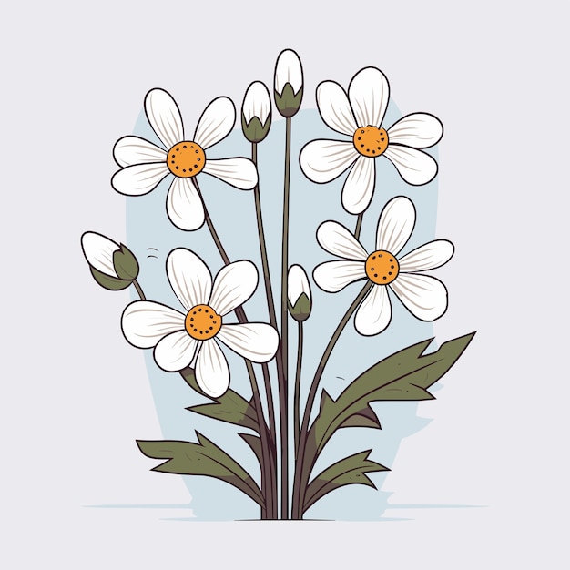 daisy vector