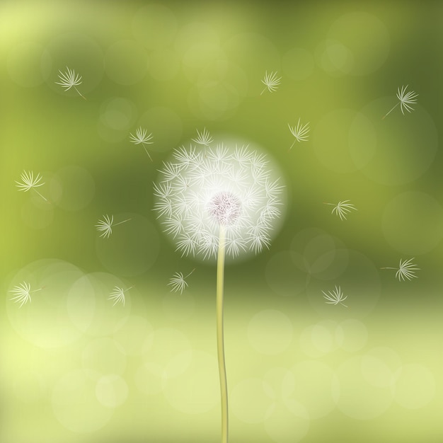 Vector dandelion blown by the wind, against a background of green blurred forest. natural appearance. spring mood. soft color palette. 10 eps