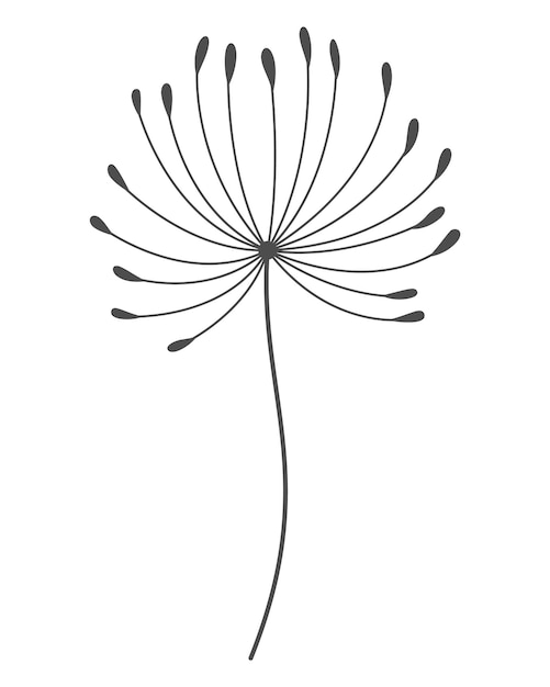 Vector dandelion flower in black linear style nature floral hand drawn stylized decorative blooming silhouette of fluffy seeds flower pencil sketched monochrome design element