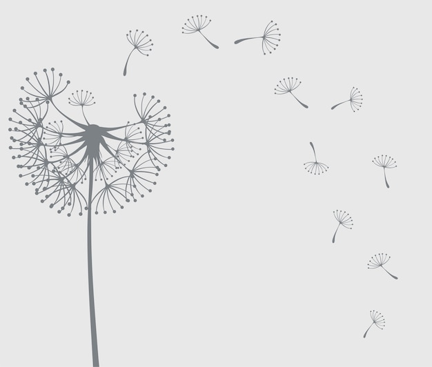 Vector dandelion flower icon