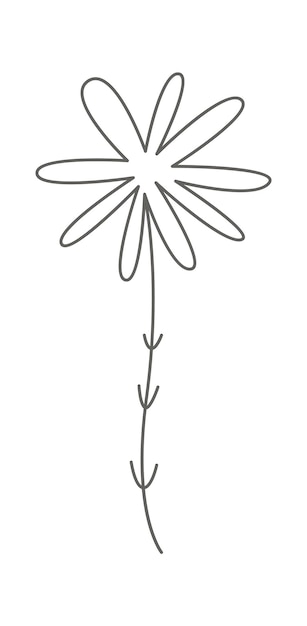 Vector dandelion flower line art contemporary floral design