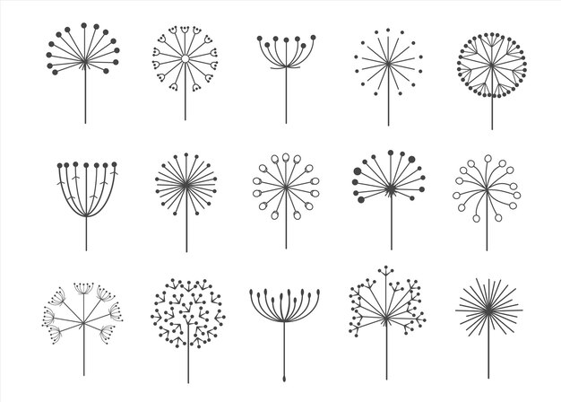 Vector dandelion flowers with fluffy seeds set floral silhouettes design elements vector illustration