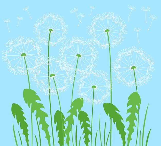 Dandelion flying seeds meadow simple summer illustration flower plant nature design postcard poster