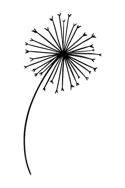 Dandelion herbaceous plant nature doodle line cartoon