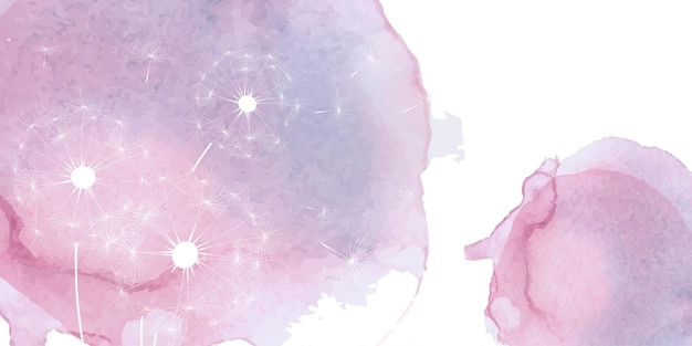 Dandelion illustration background