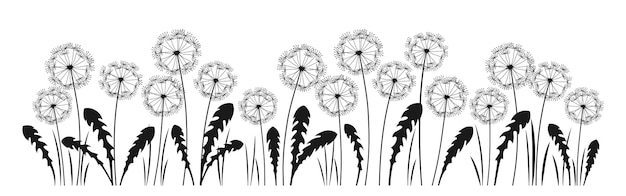 Dandelion ink silhouette background flowers engraving black plant design template poster card cover