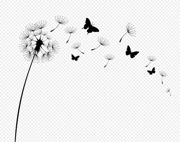 Dandelion with flying butterflies and seeds vector illustration vector isolated decoration element