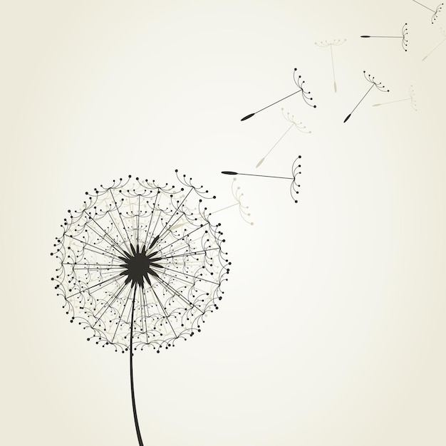 Dandelion7