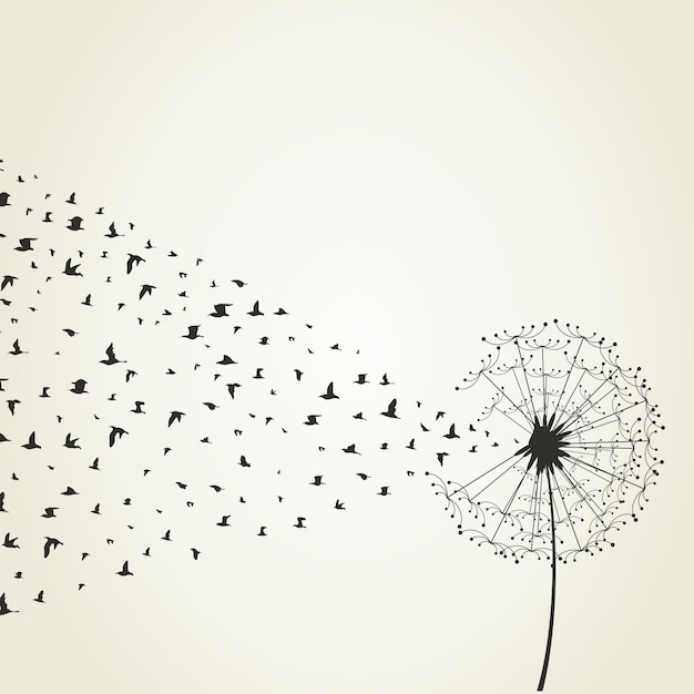 Vector dandelion9