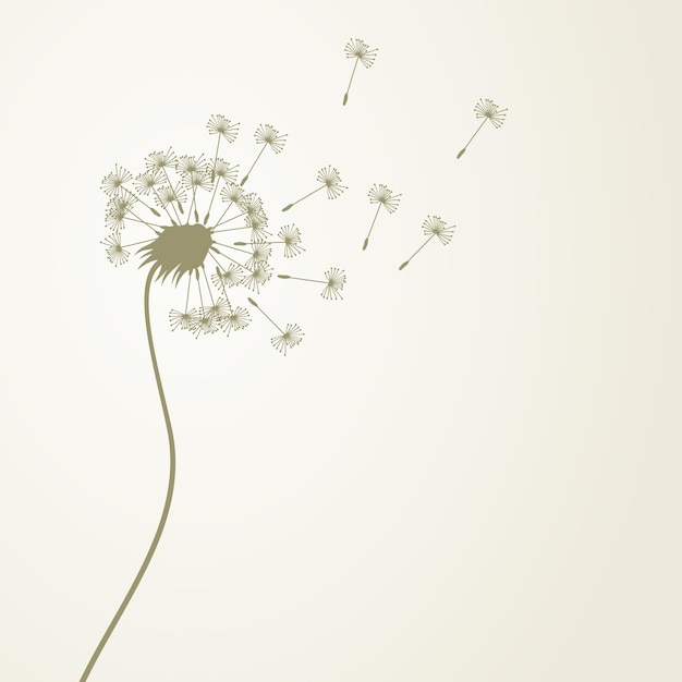 Vector dandelion