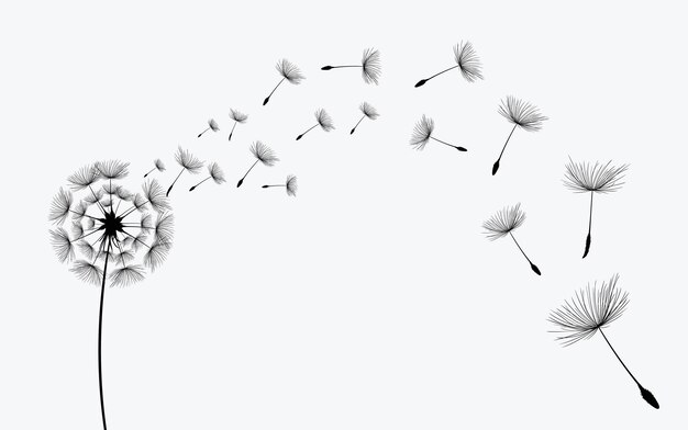 dandelions blowing in the wind with seeds blowing in the wind.