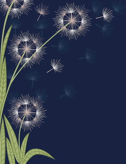 Vector dandelions flowers with flying seeds on dark blue background flat vector vertical illustration.