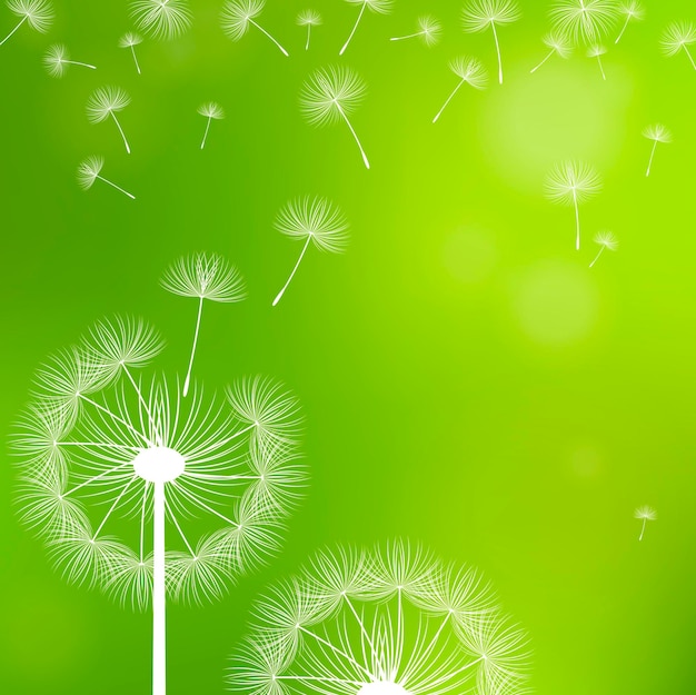 Vector dandelions on a green background