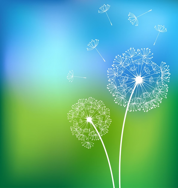 Dandelionsn in meadow spring vector