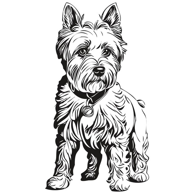 Dandie Dinmont Terriers dog engraved vector portrait face cartoon vintage drawing in black and white realistic breed pet