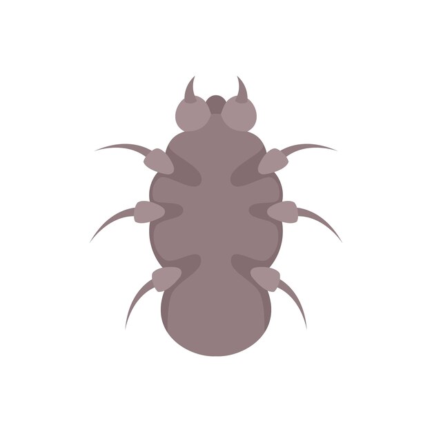 Vettore icona bug di pericolo illustrazione piatta dell'icona vettore bug di pericolo isolata su sfondo bianco