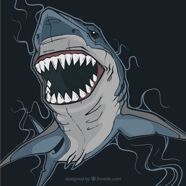 Vector dangerous shark