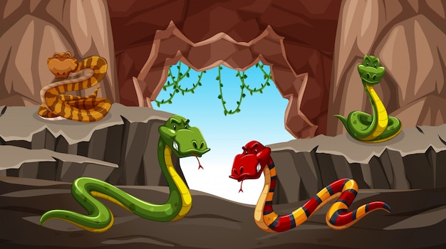 Vector dangerous snake in the cave