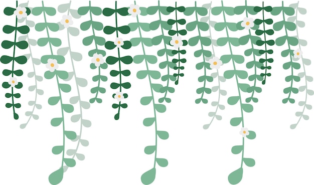 Vector dangling flower element illustration of home hanging leaves of plant string of nickels isolated on