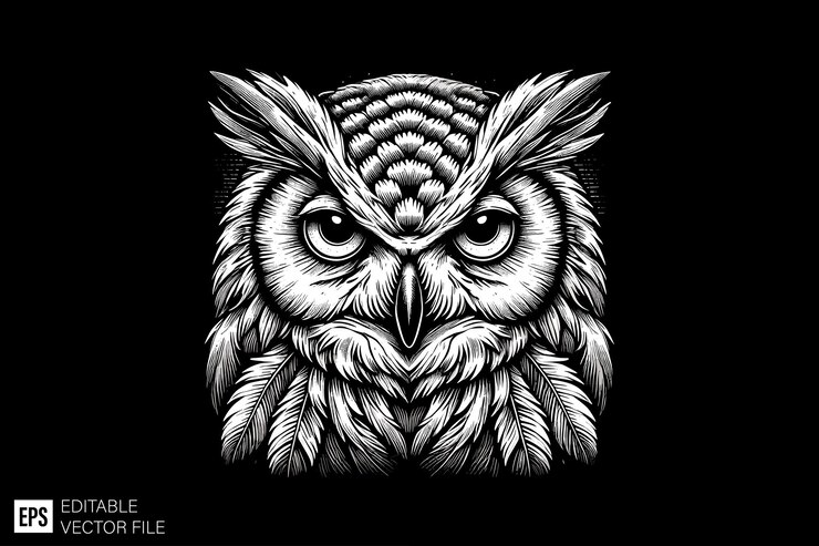 Vector dark art owl vector character design black and white illustration