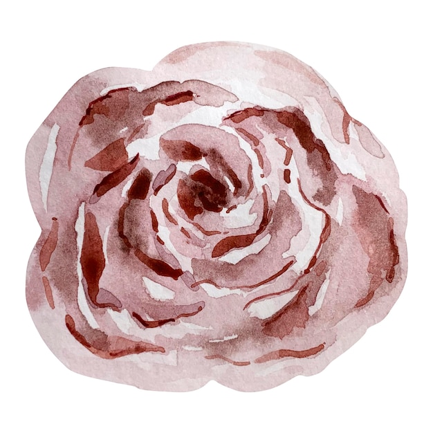 Vector dark beige watercolor elegant rose floral